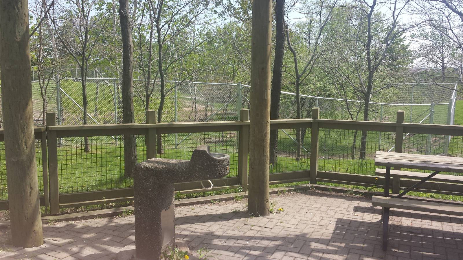 New Giraffe exhibit expansion