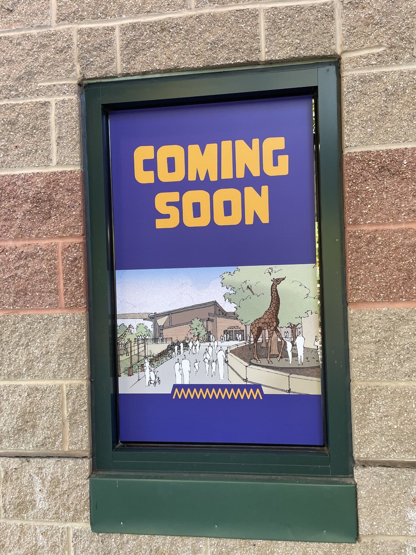 NEW Giraffe Expansion Drawing