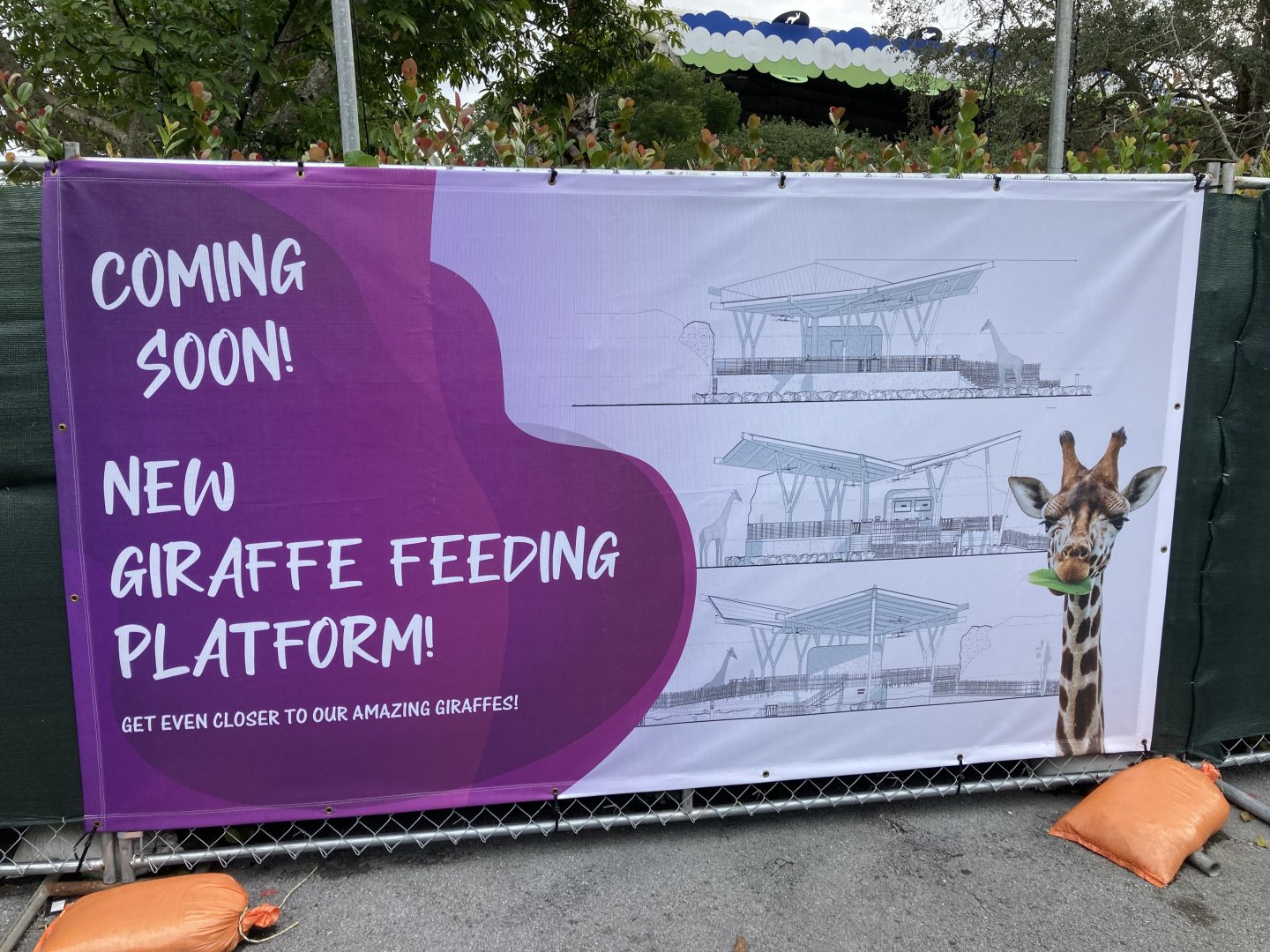 New Giraffe Feeding Station Coming Soon