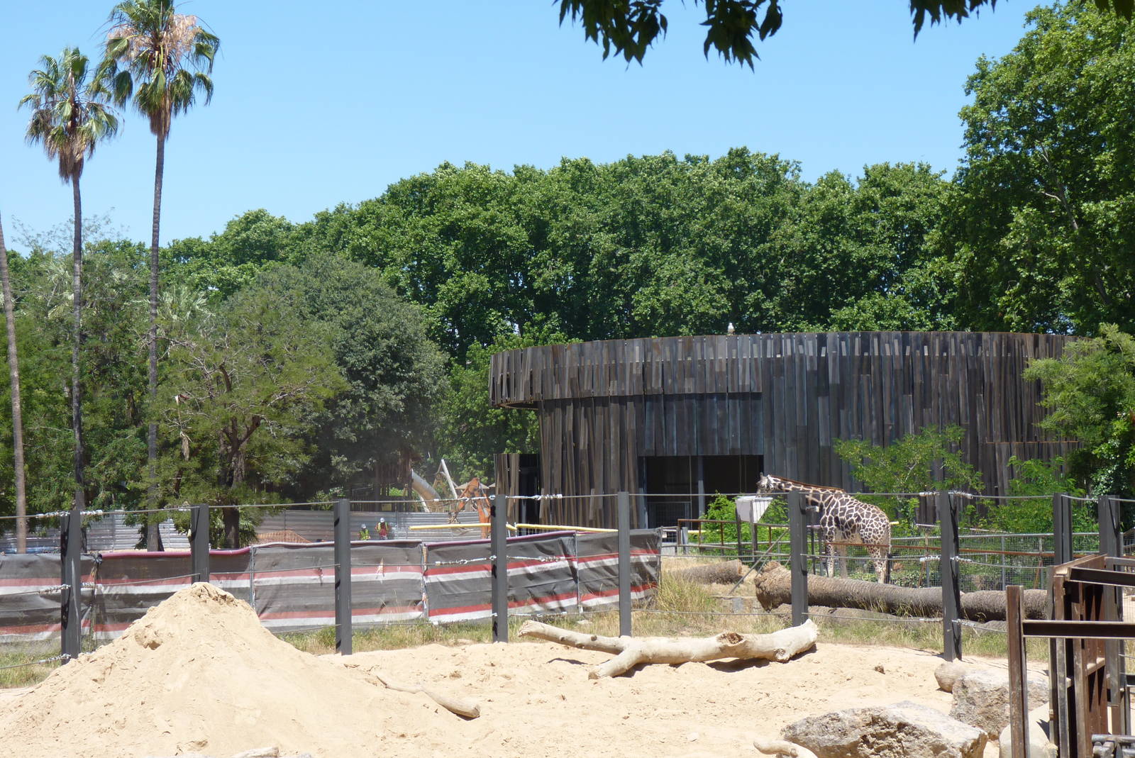 New Giraffe House, 17 June 2015
