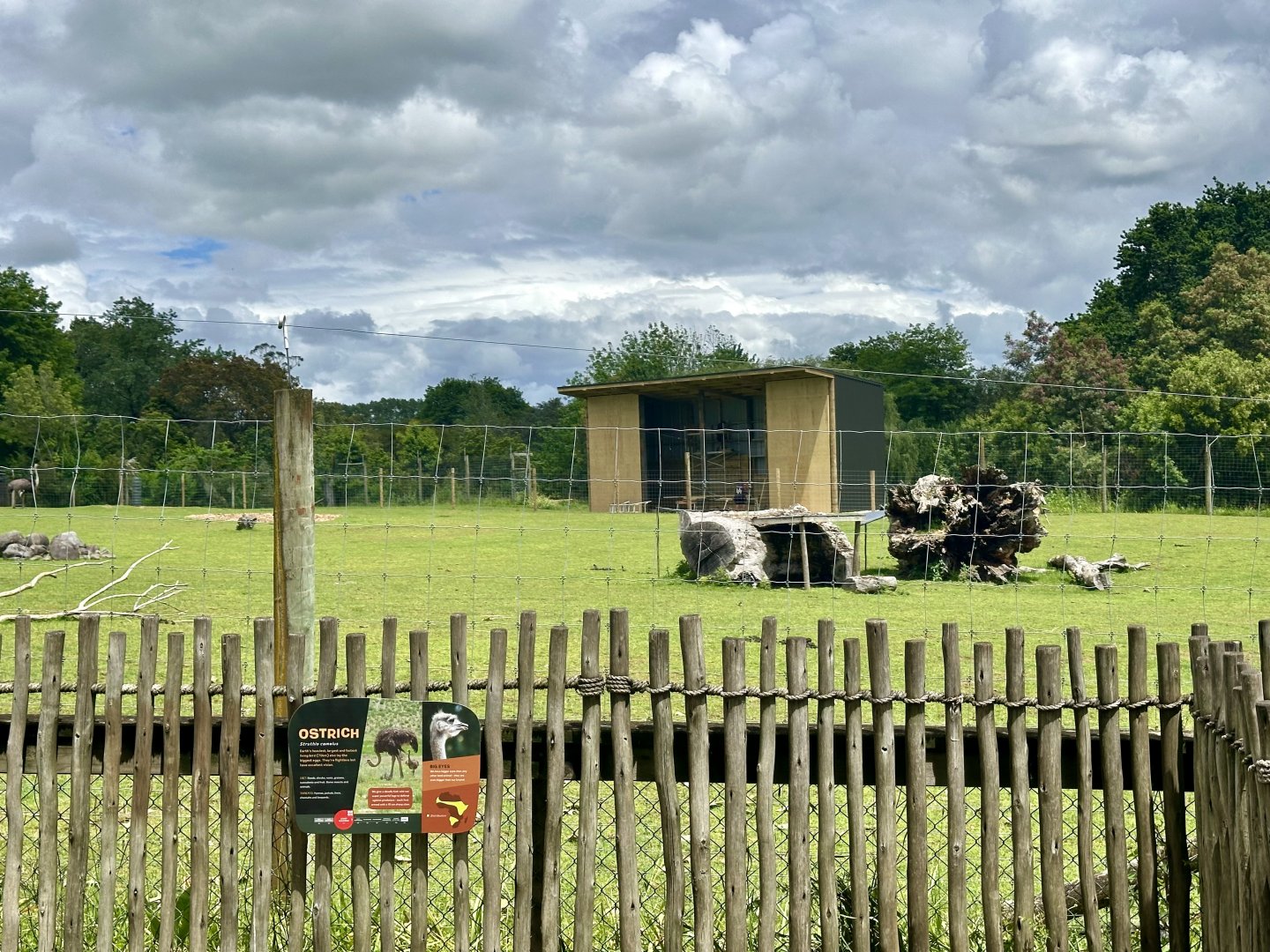 New Giraffe House (Under Construction)