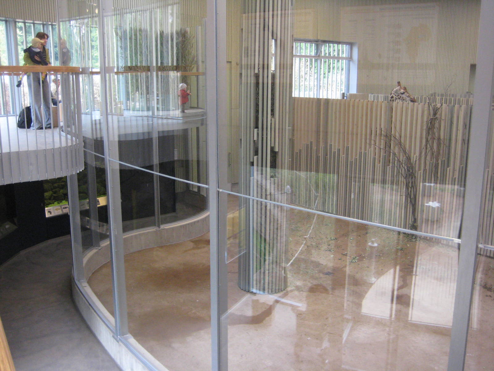 New Giraffe House View from the Gallery