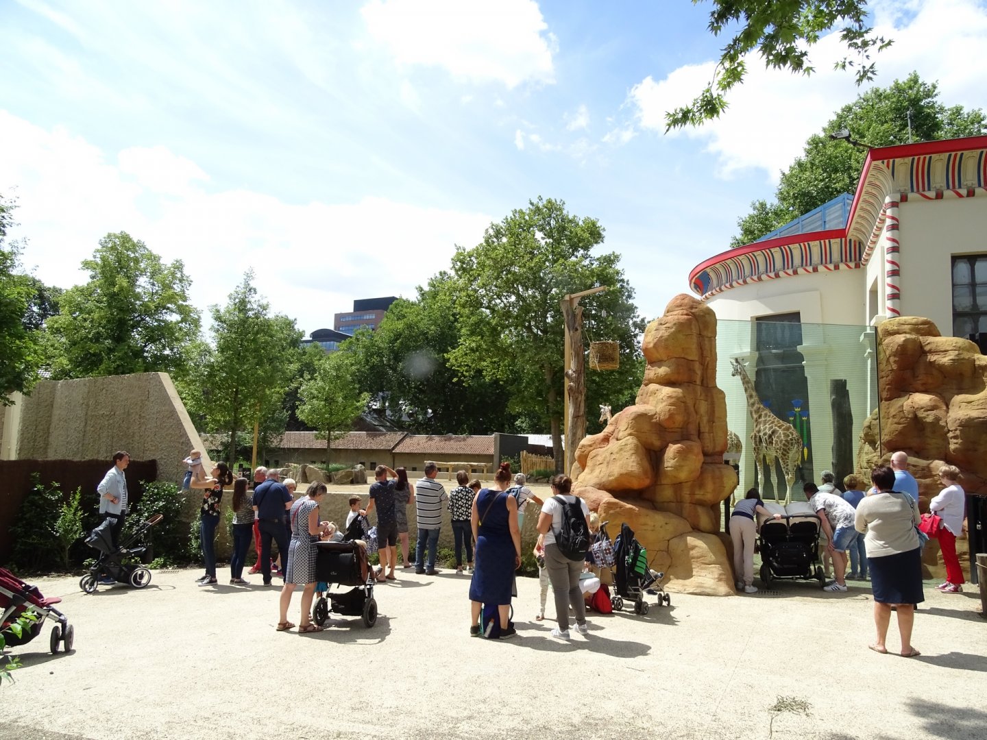 New Giraffe/Mountain zebra enclosure