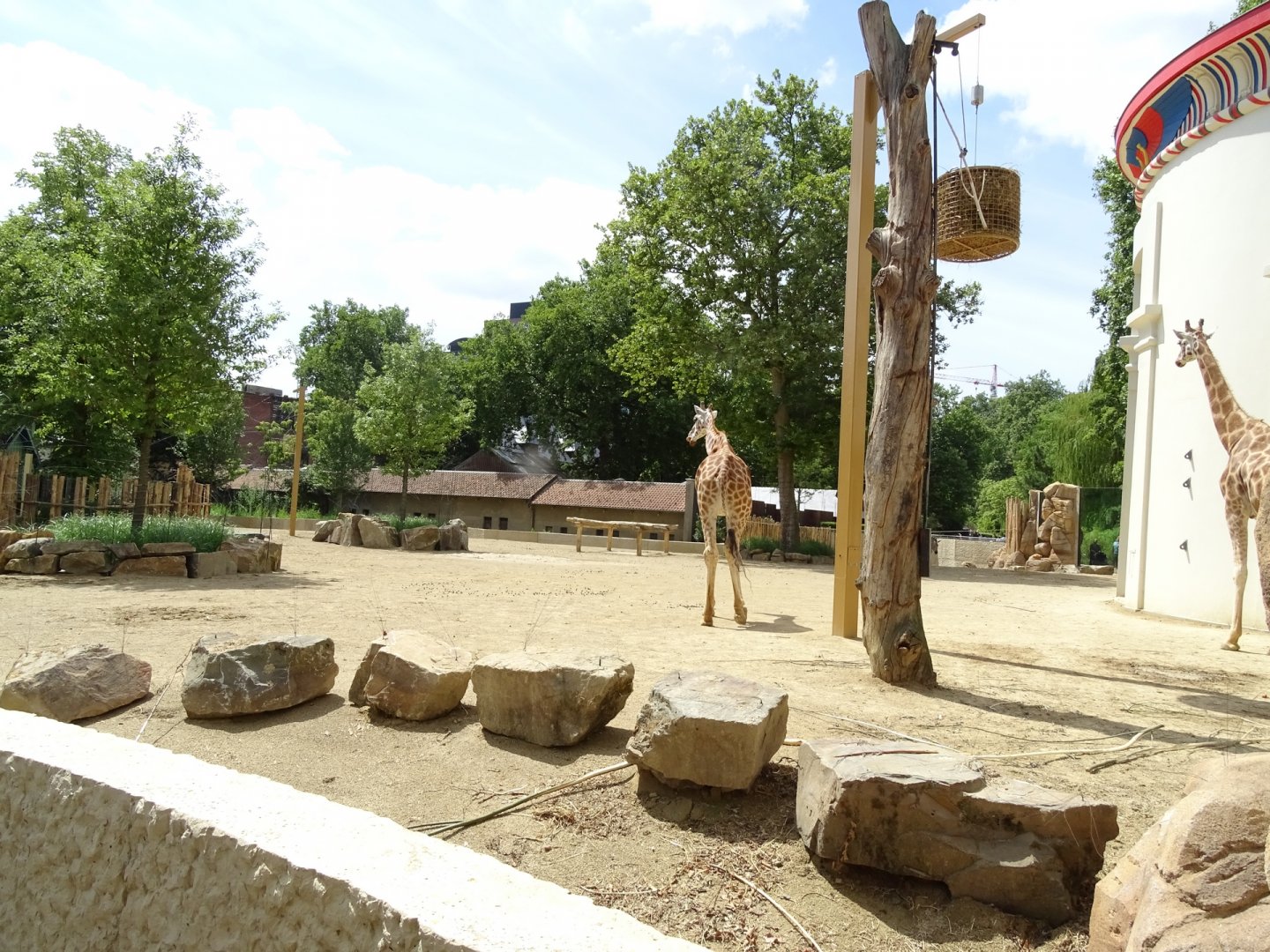 New Giraffe/Mountain zebra enclosure