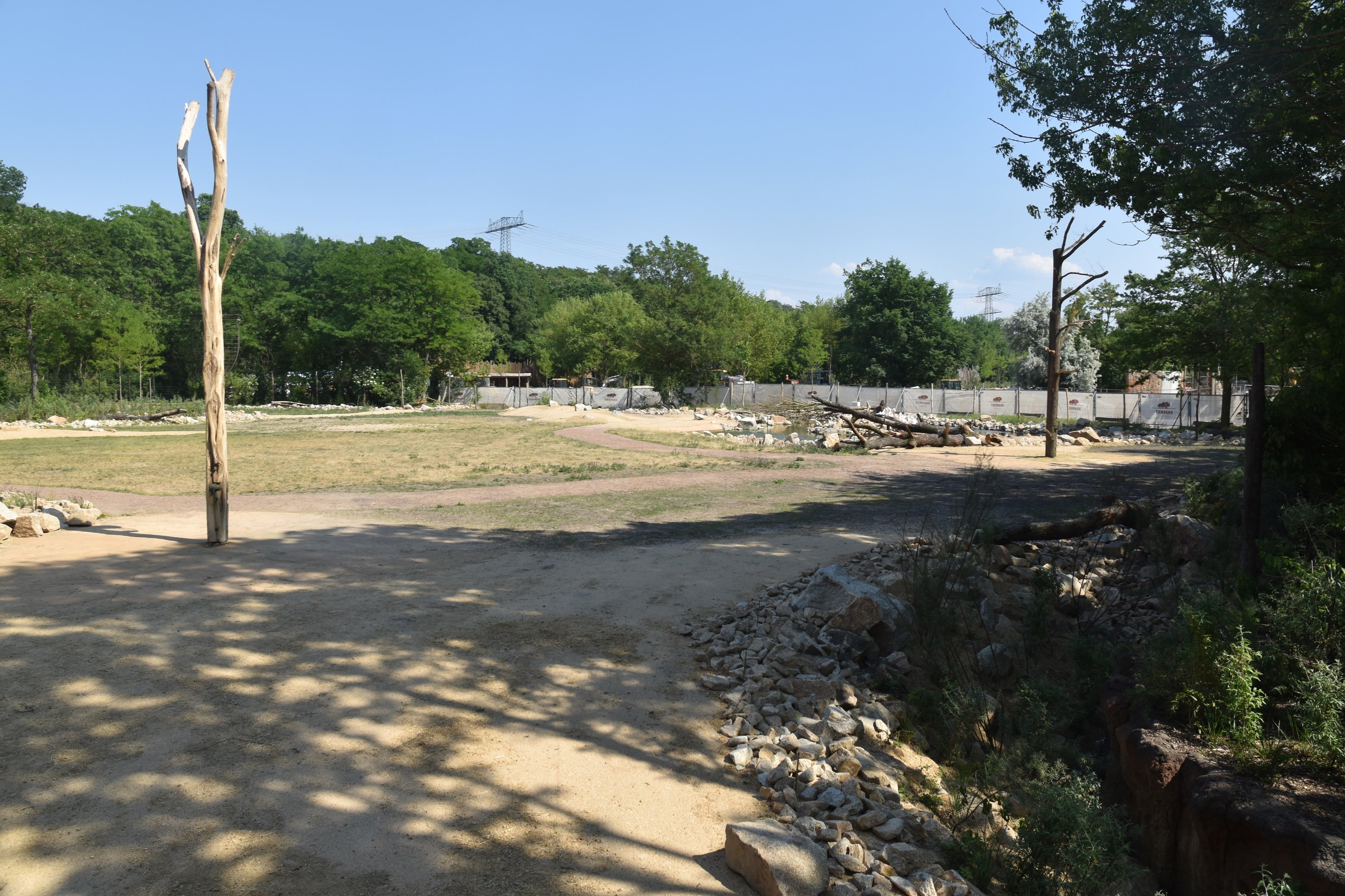 New Giraffe Paddock at Tierpark Berlin, 9th June 2023