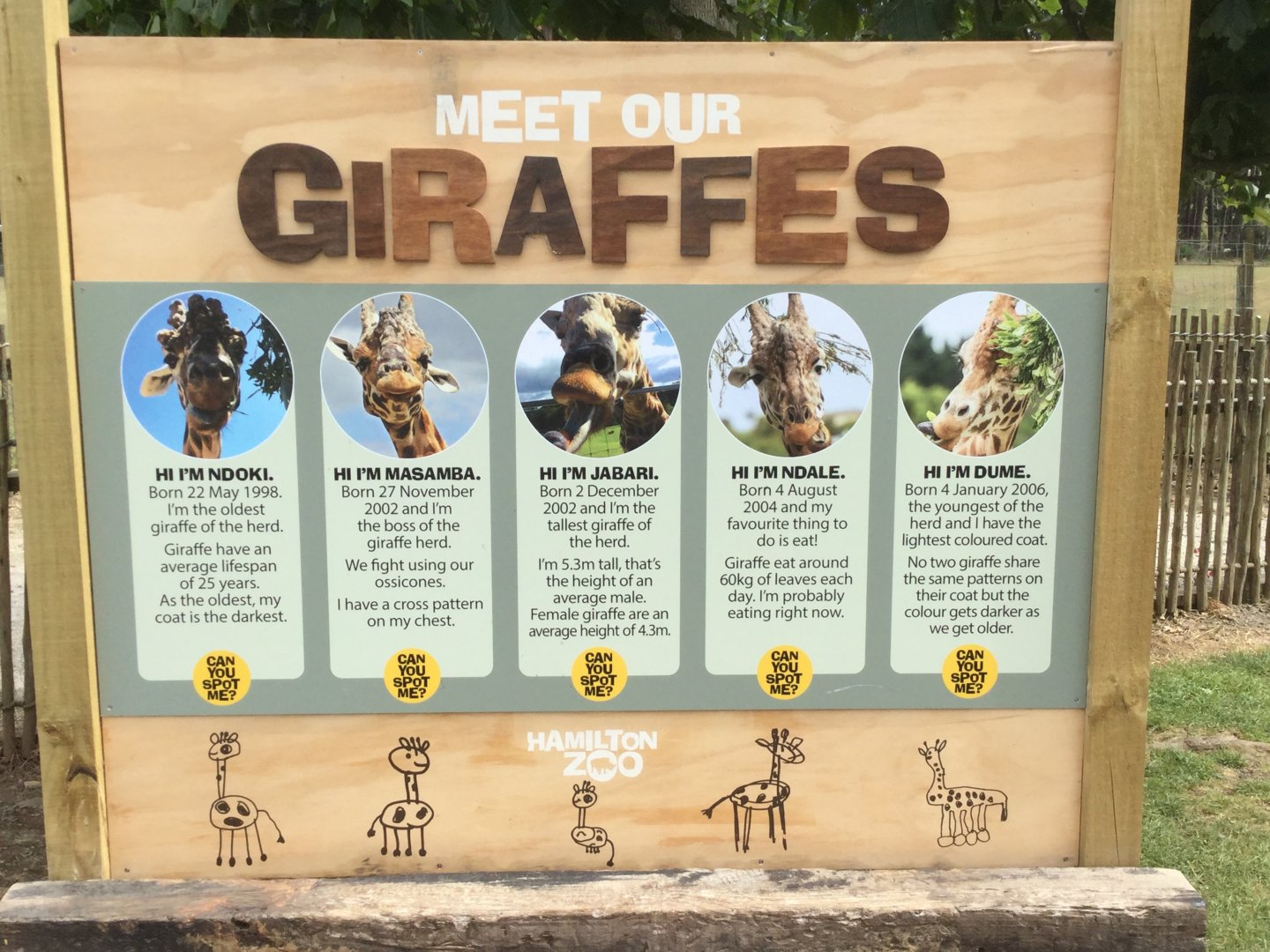 New Giraffe Signage