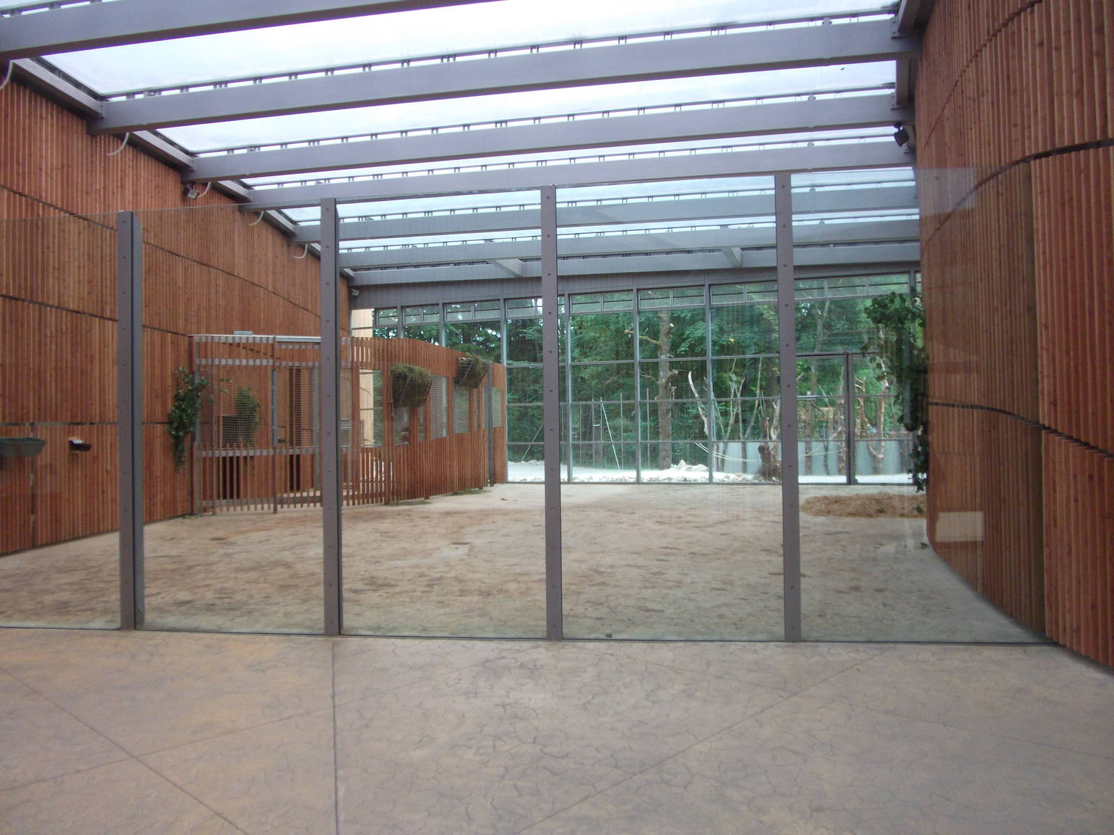 New giraffes house and paddock