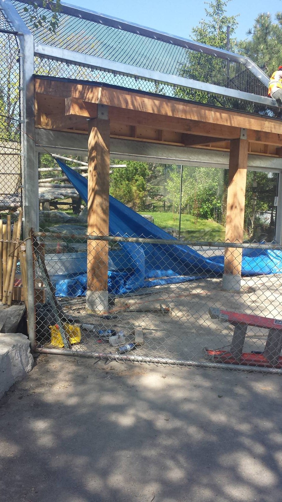 New glass viewing area in panda exhibit