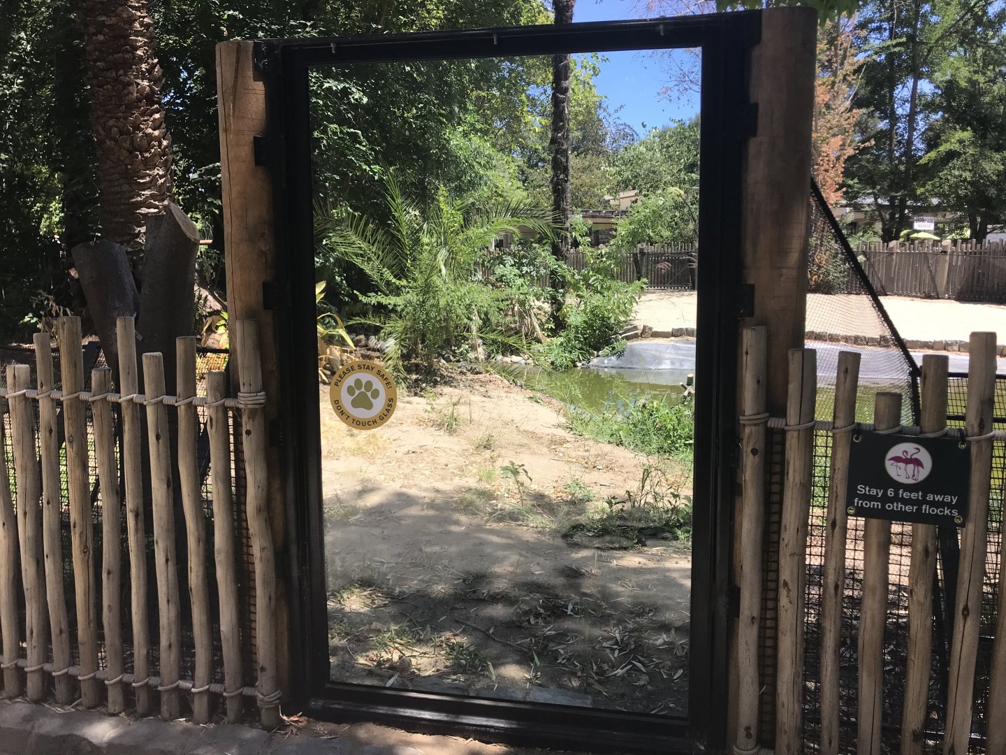 New Glass Viewing at the Alligator Exhibit