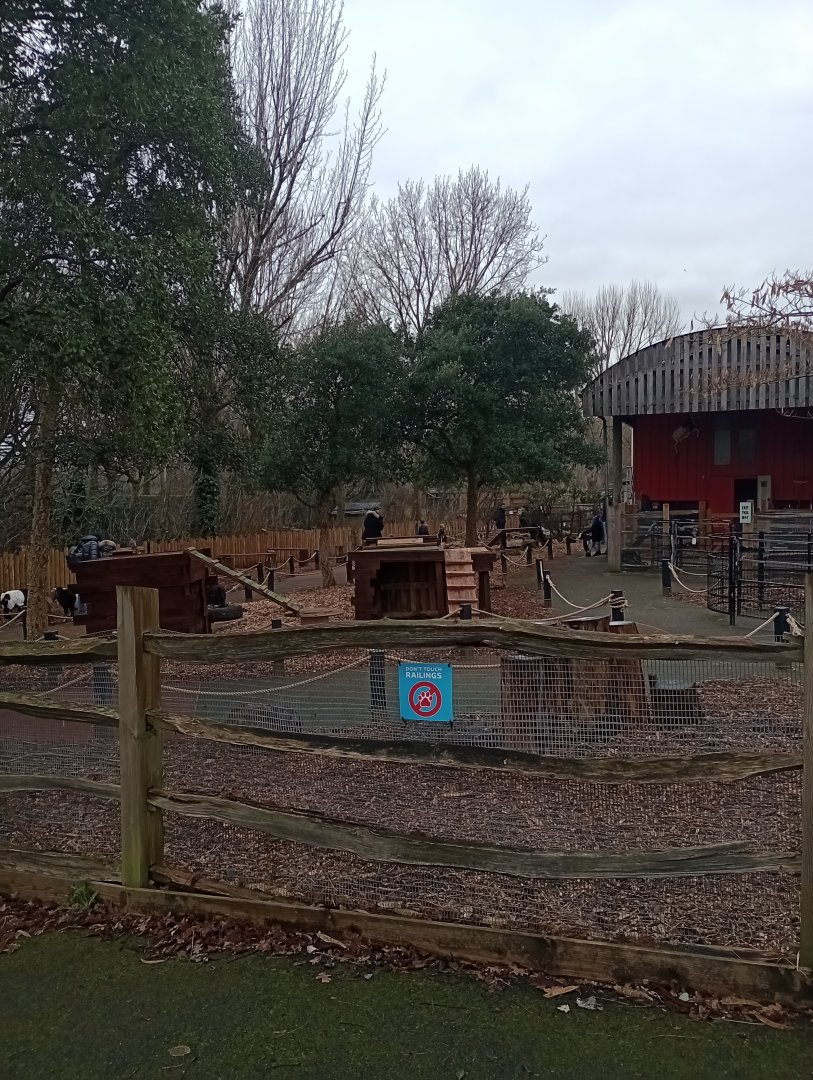 New goat walkthrough