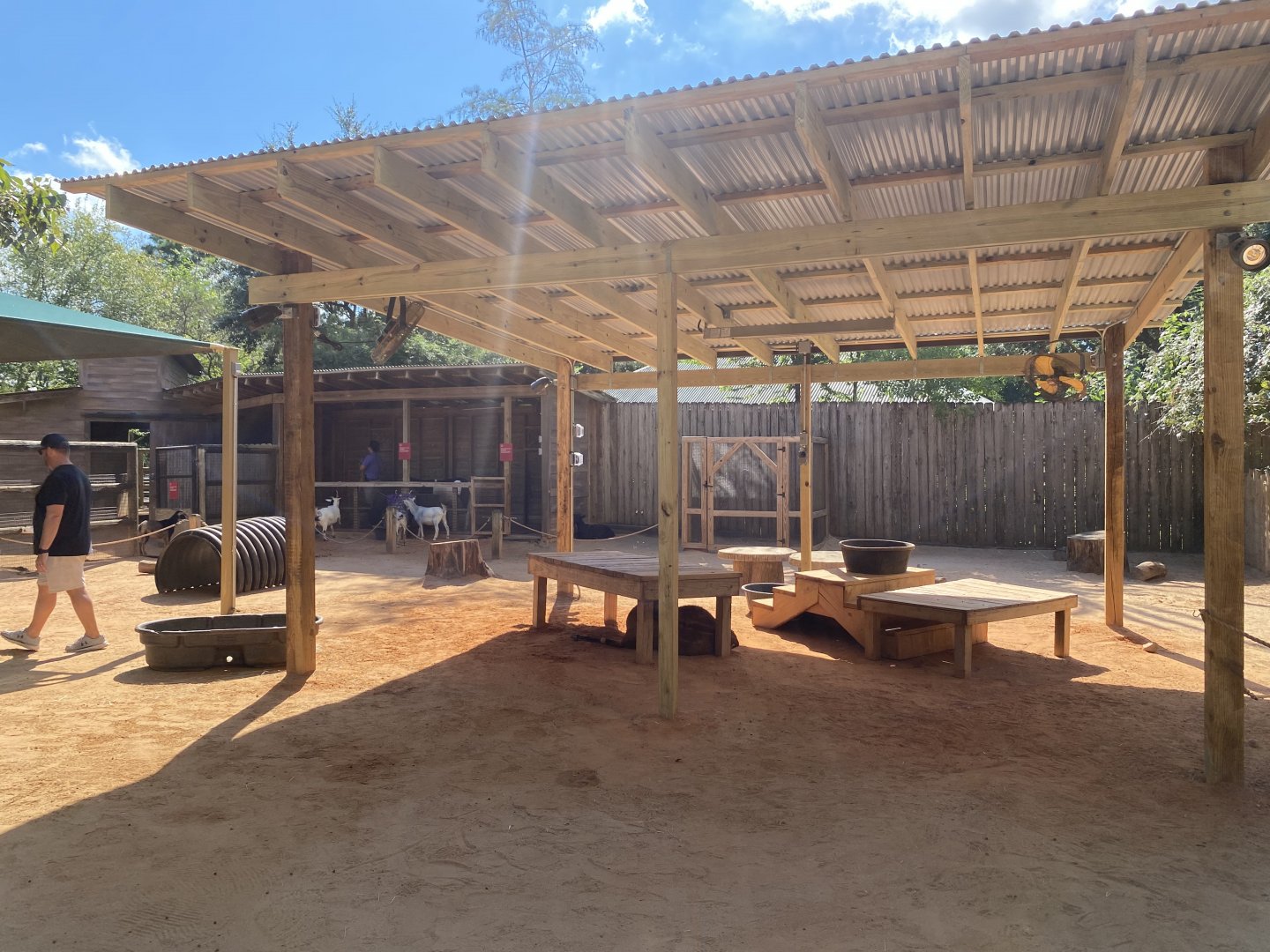 New Goat Yard Shade Structure