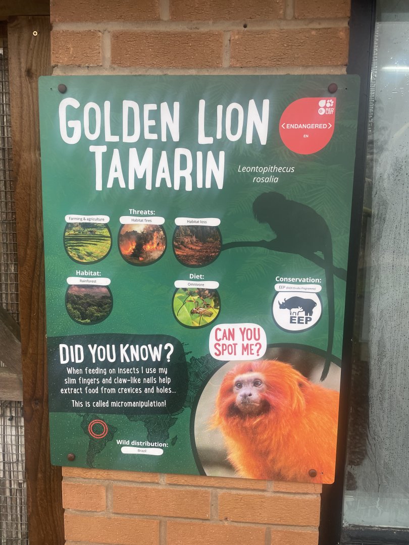 New Golden Lion Tamarin Signage