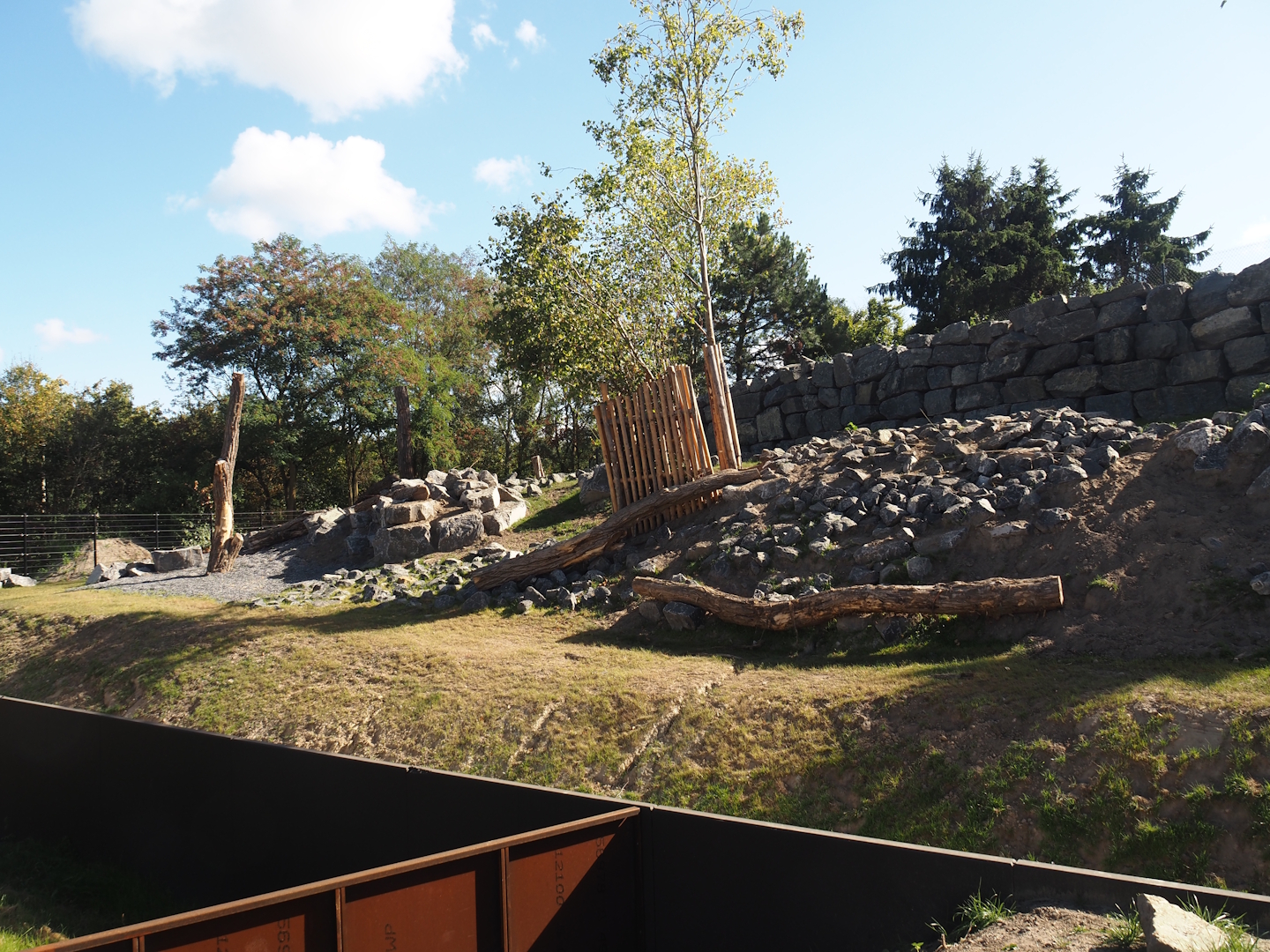 New golden takin exhibit, 2025-08-24