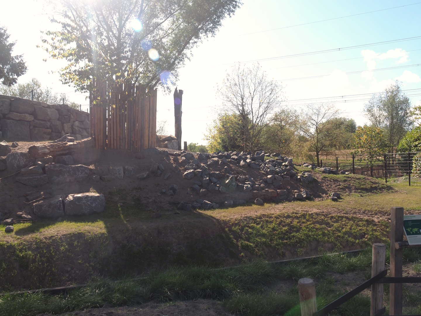 New golden takin exhibit, 2025-08-24