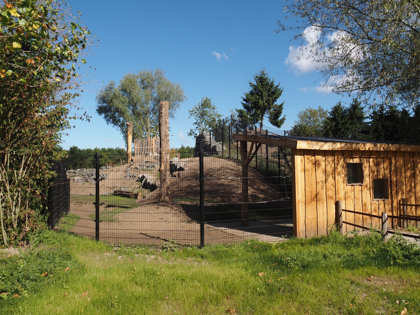 New golden takin exhibit, 2025-08-24