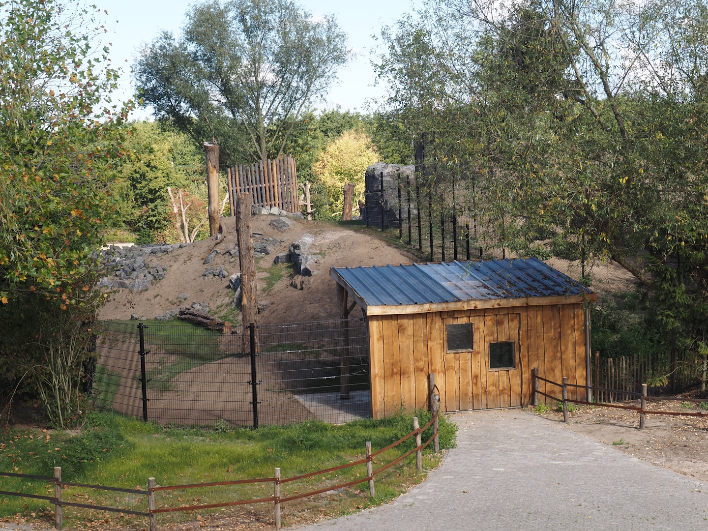 New golden takin exhibit, 2025-08-24