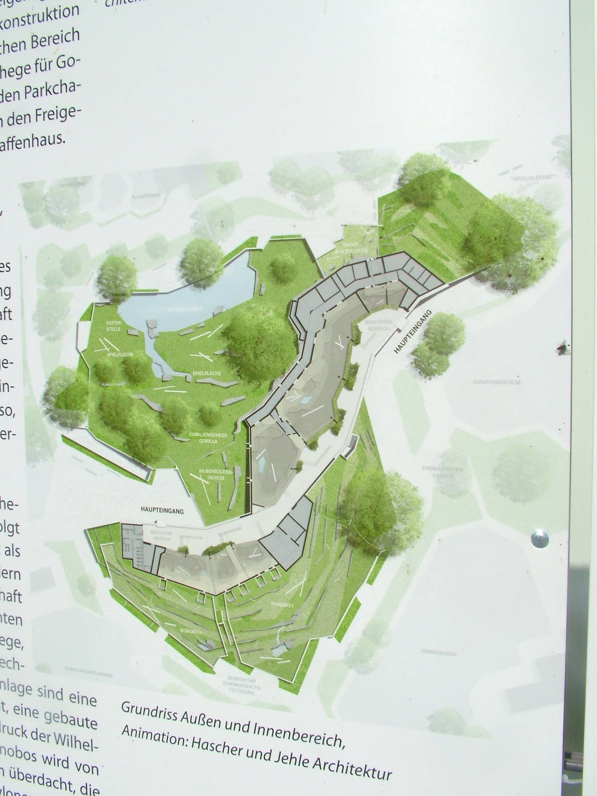 New Gorilla/Bonobo House at Wilhelma, Stuttgart 02/09/10