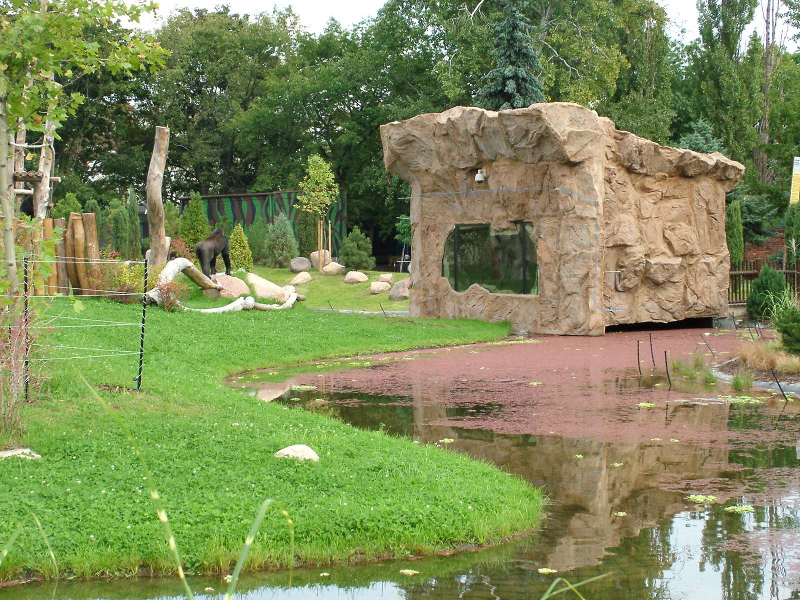 New gorilla enclosure at Warsaw Zoo Sept 2008