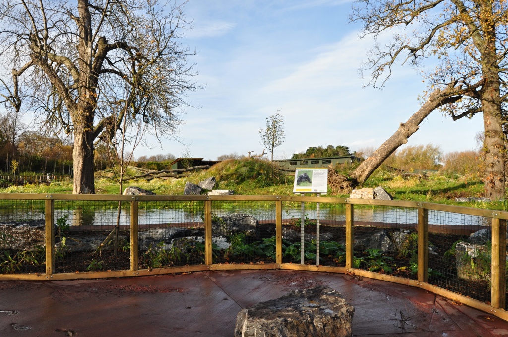 New Gorilla Habitat in Dublin Zoo