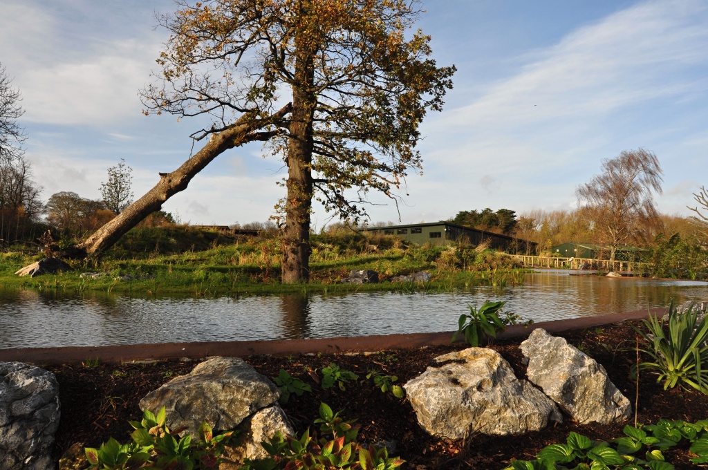 New Gorilla Habitat in Dublin Zoo