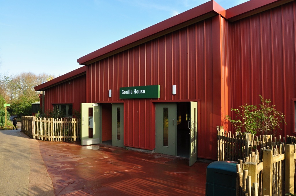 New Gorilla Habitat in Dublin Zoo