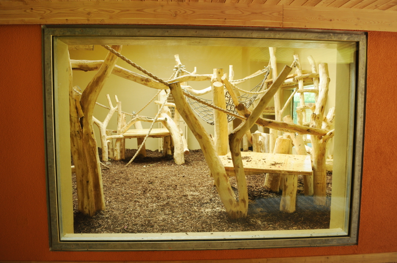 New Gorilla indoor box