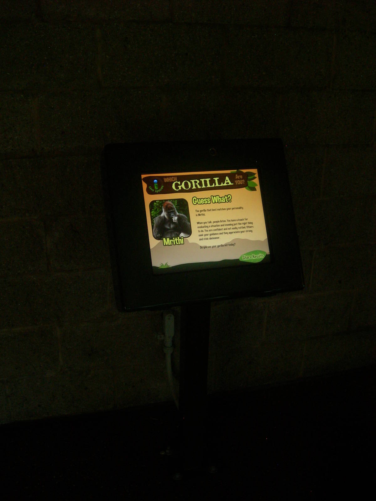 New Gorilla interactive touch screen sign
