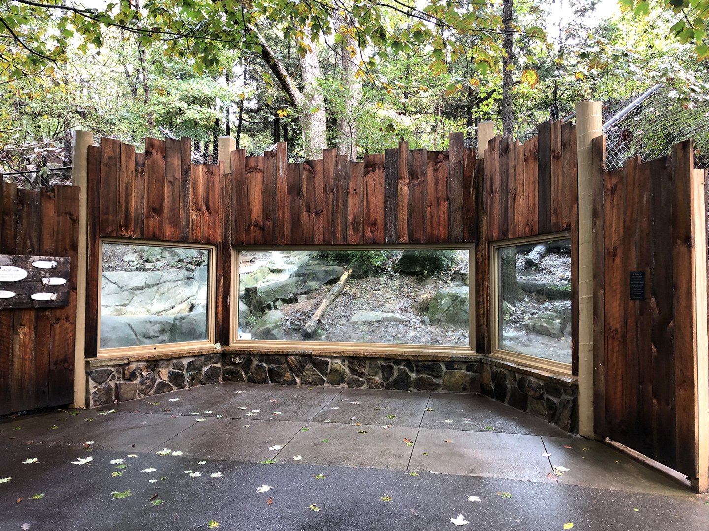 New Gray Wolf Viewing Area