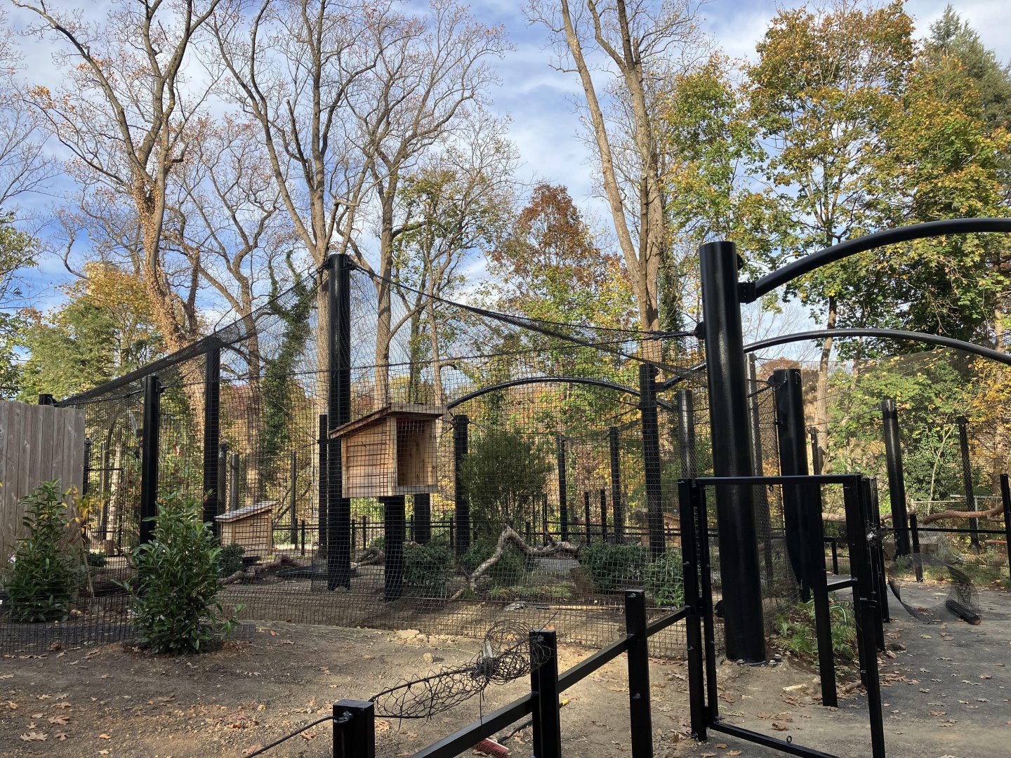 New Great Cats Area Exhibit (Left Side)