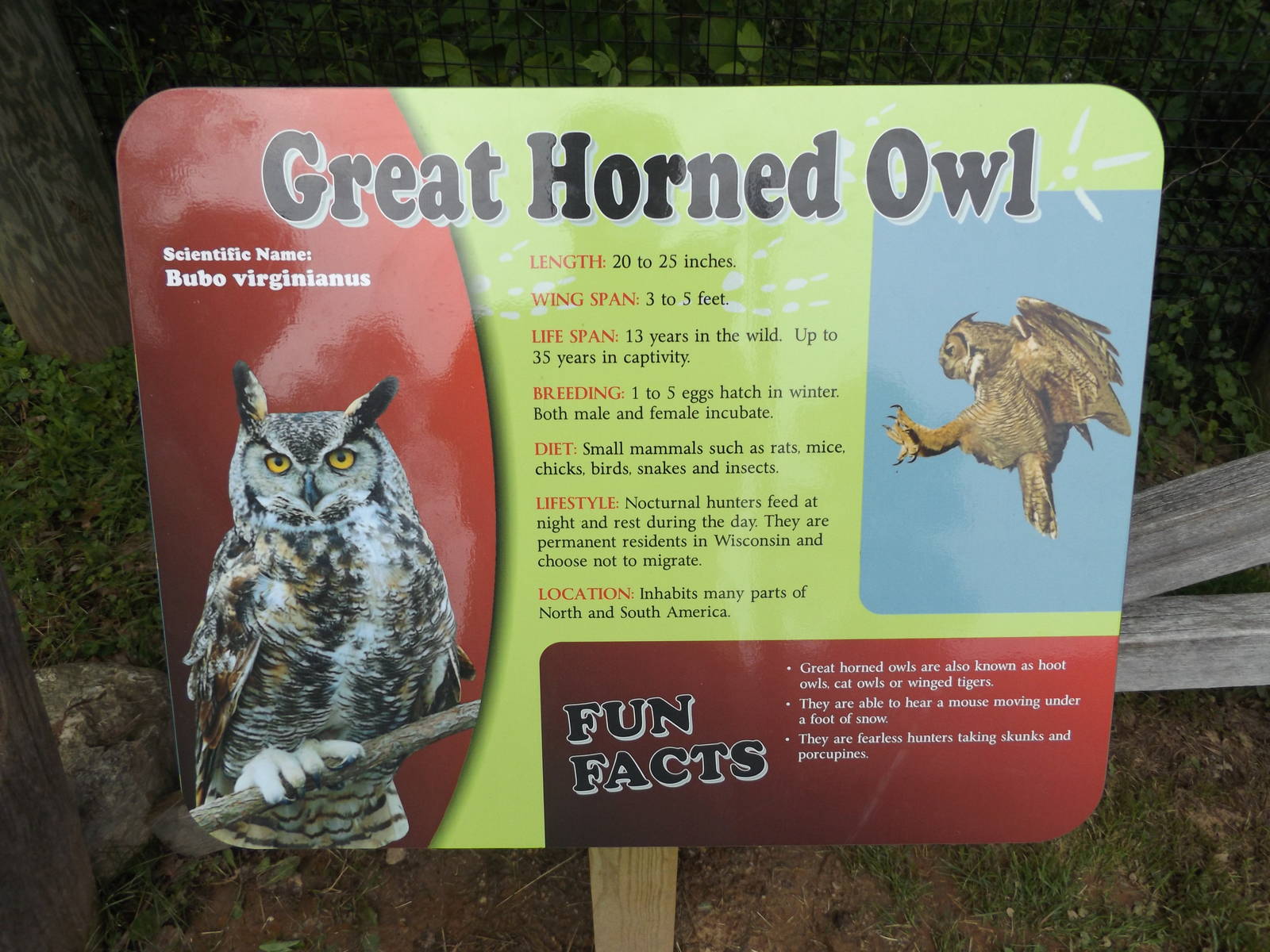 New Great Horned Owl Info Sign