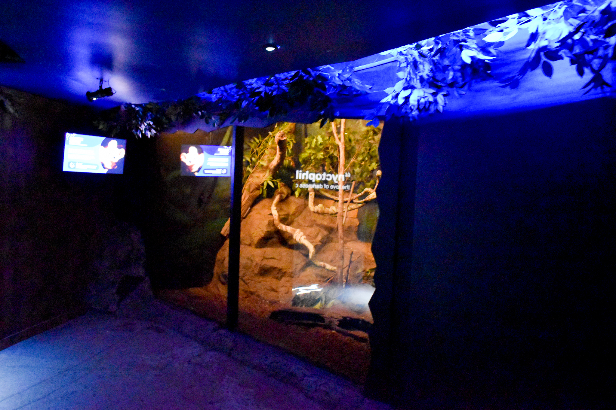 New Greater Glider/Bandicoot Enclosure (one half)