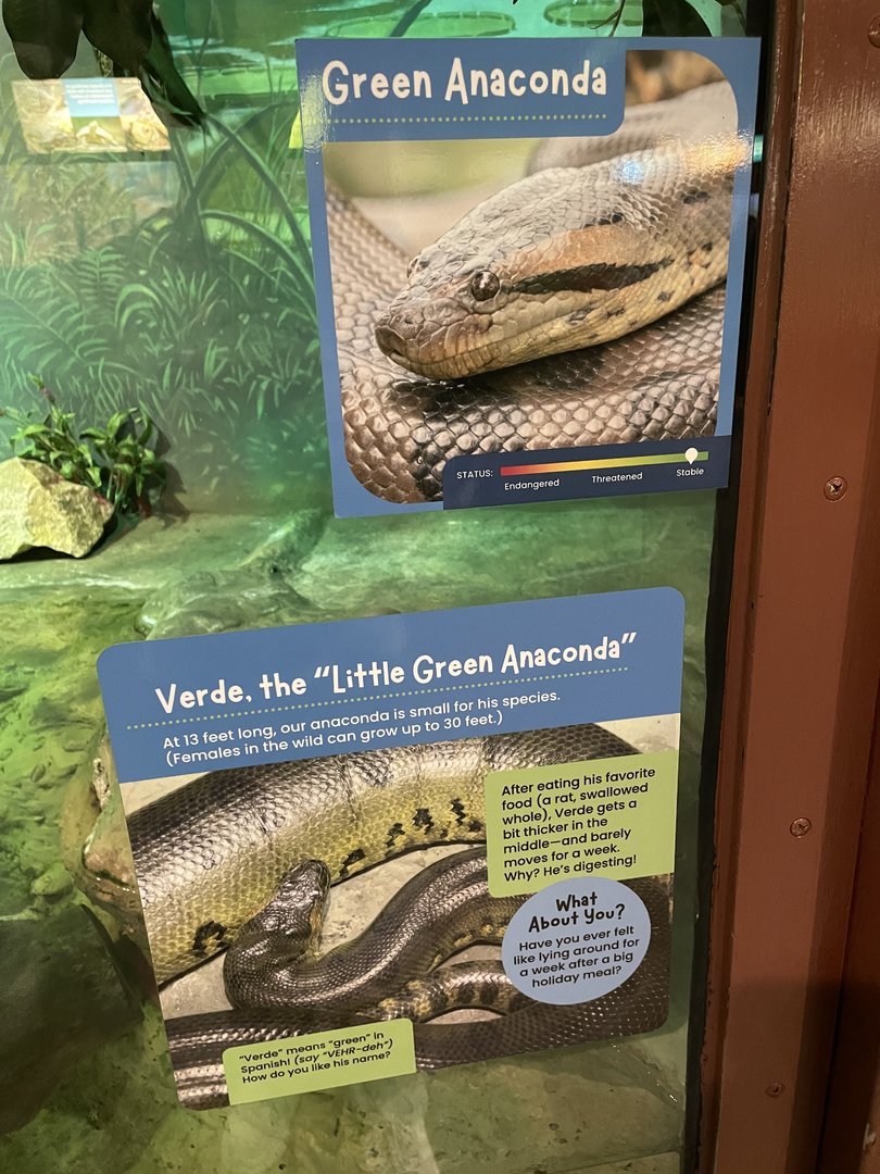 New Green Anaconda Signage