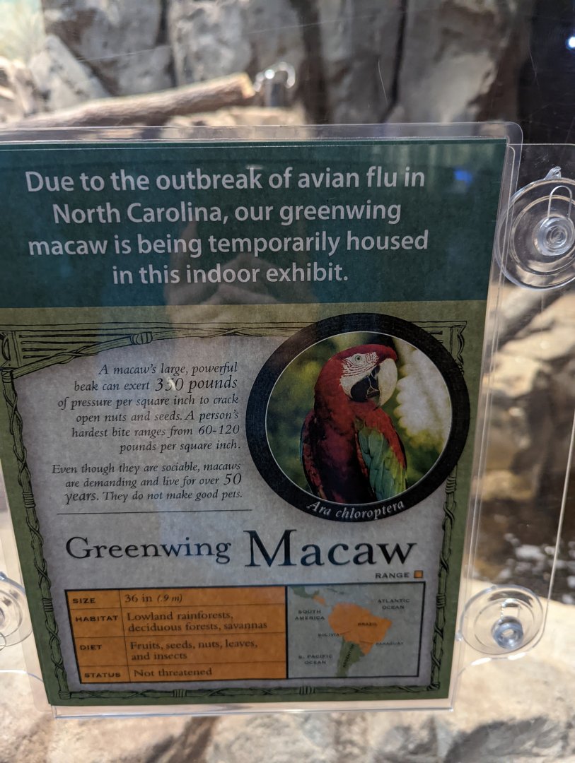 New Green wing Macaw signage at the Greensboro Science Center
