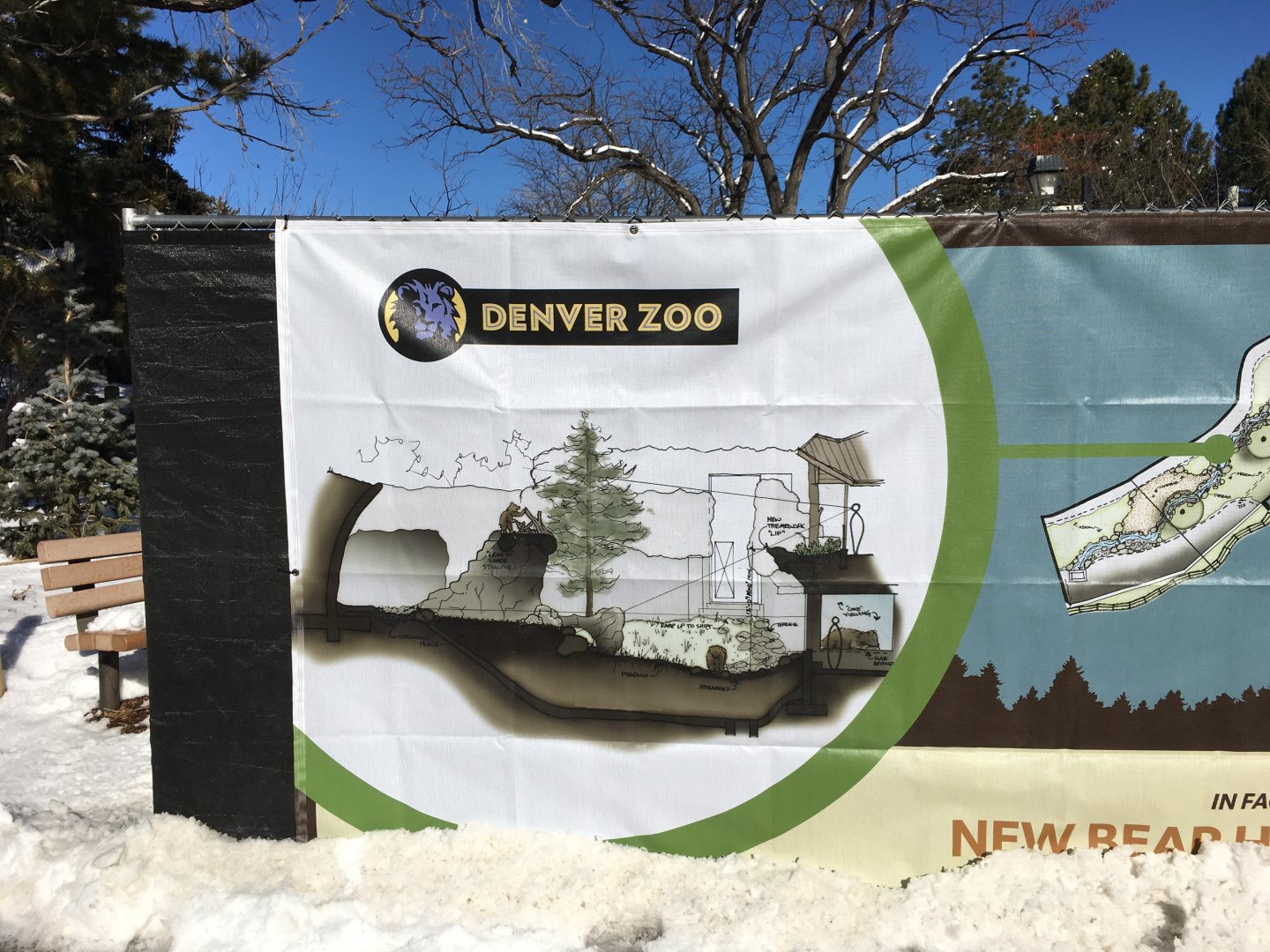 New grizzly bear exhibit design