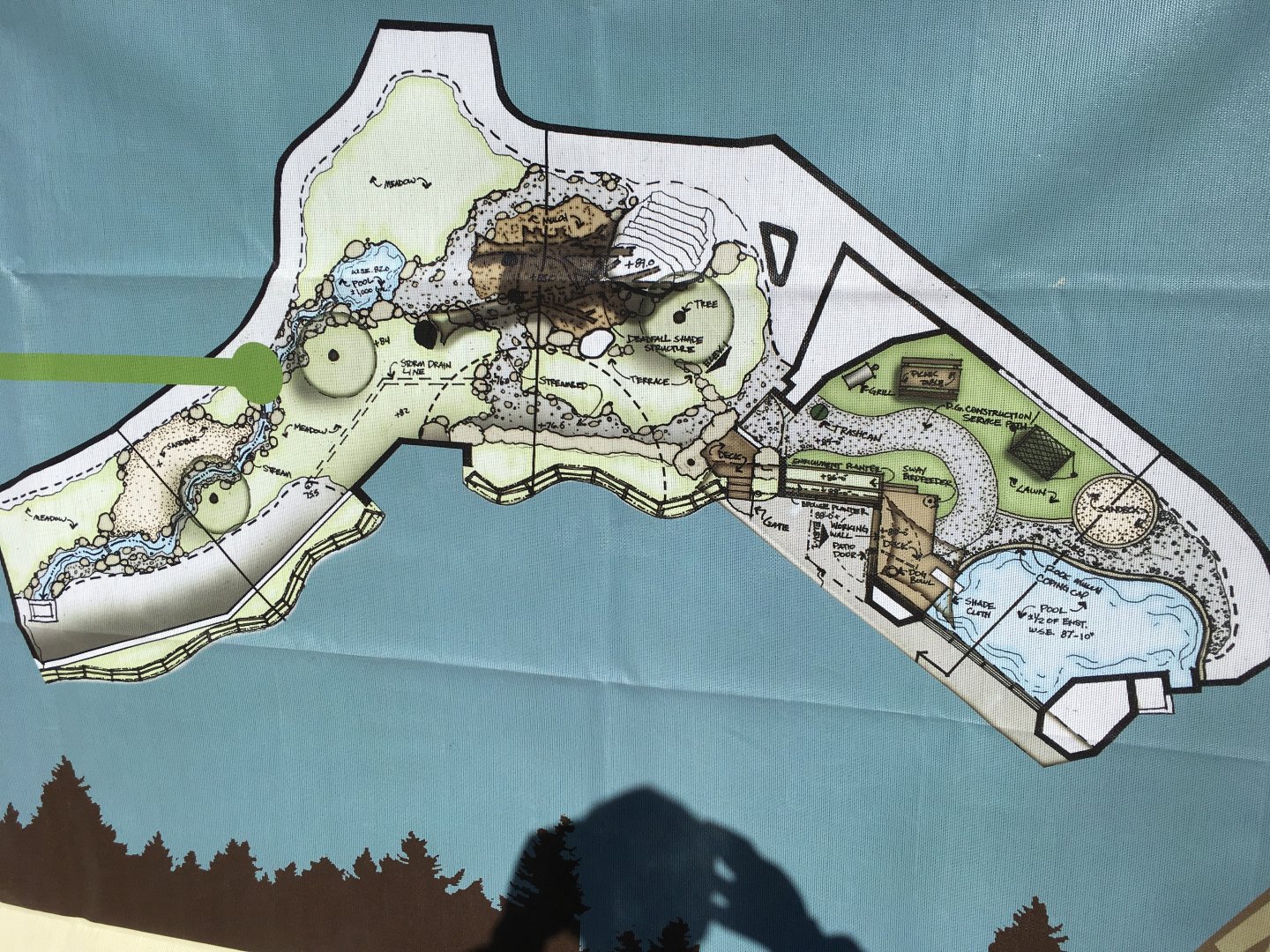 New grizzly bear exhibit design