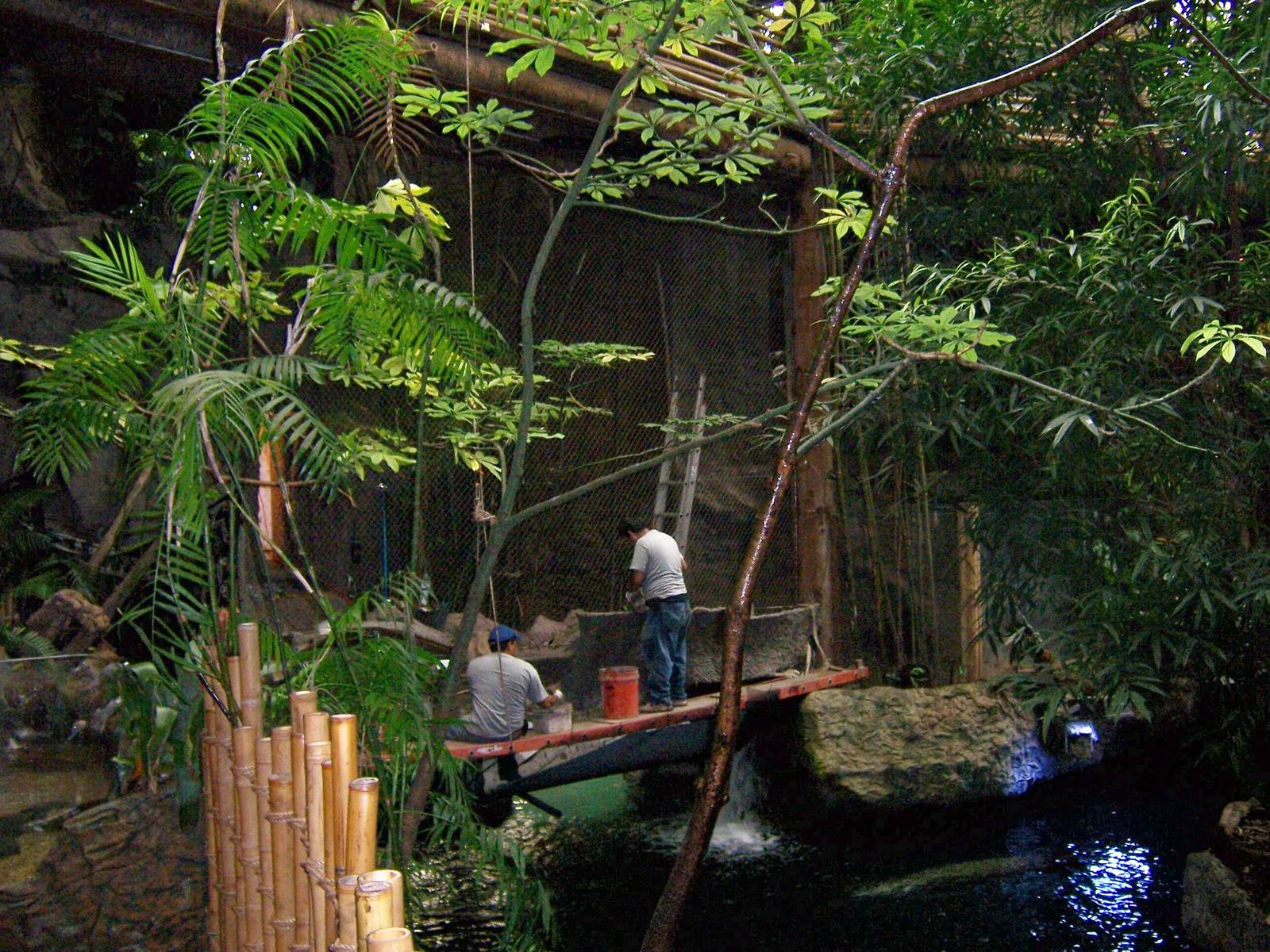 New guan habitat being built