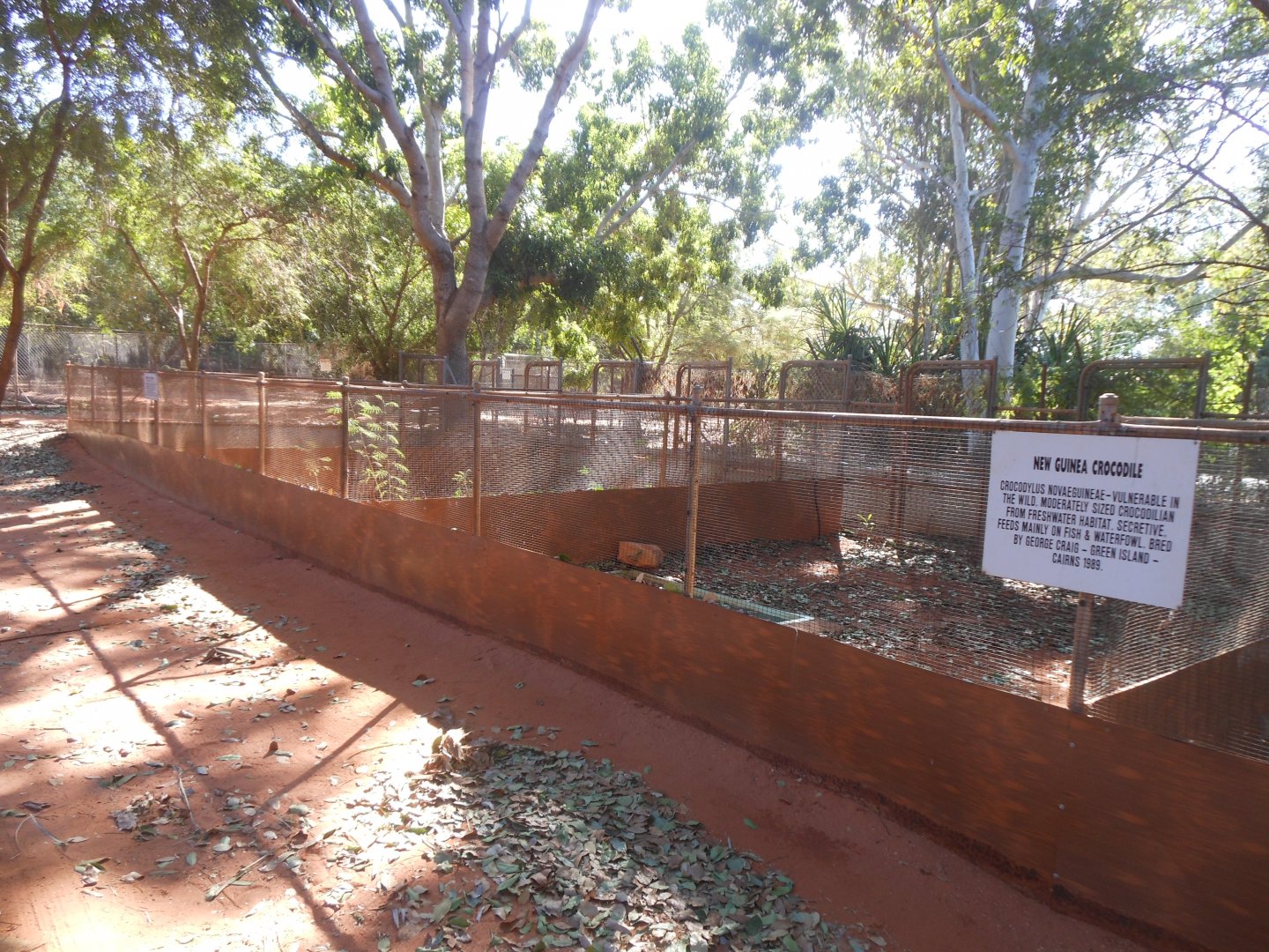 New Guinea Crocodile enclosures