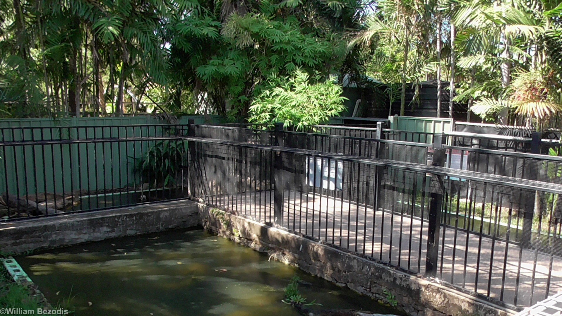 New Guinea Crocodile Enclosures