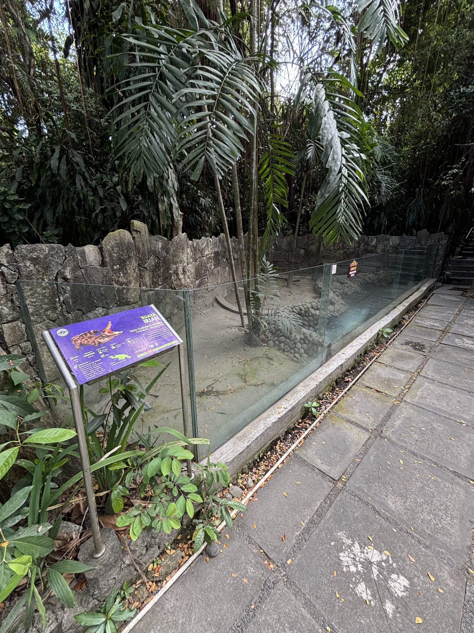 New Guinea Crocodile Exhibit