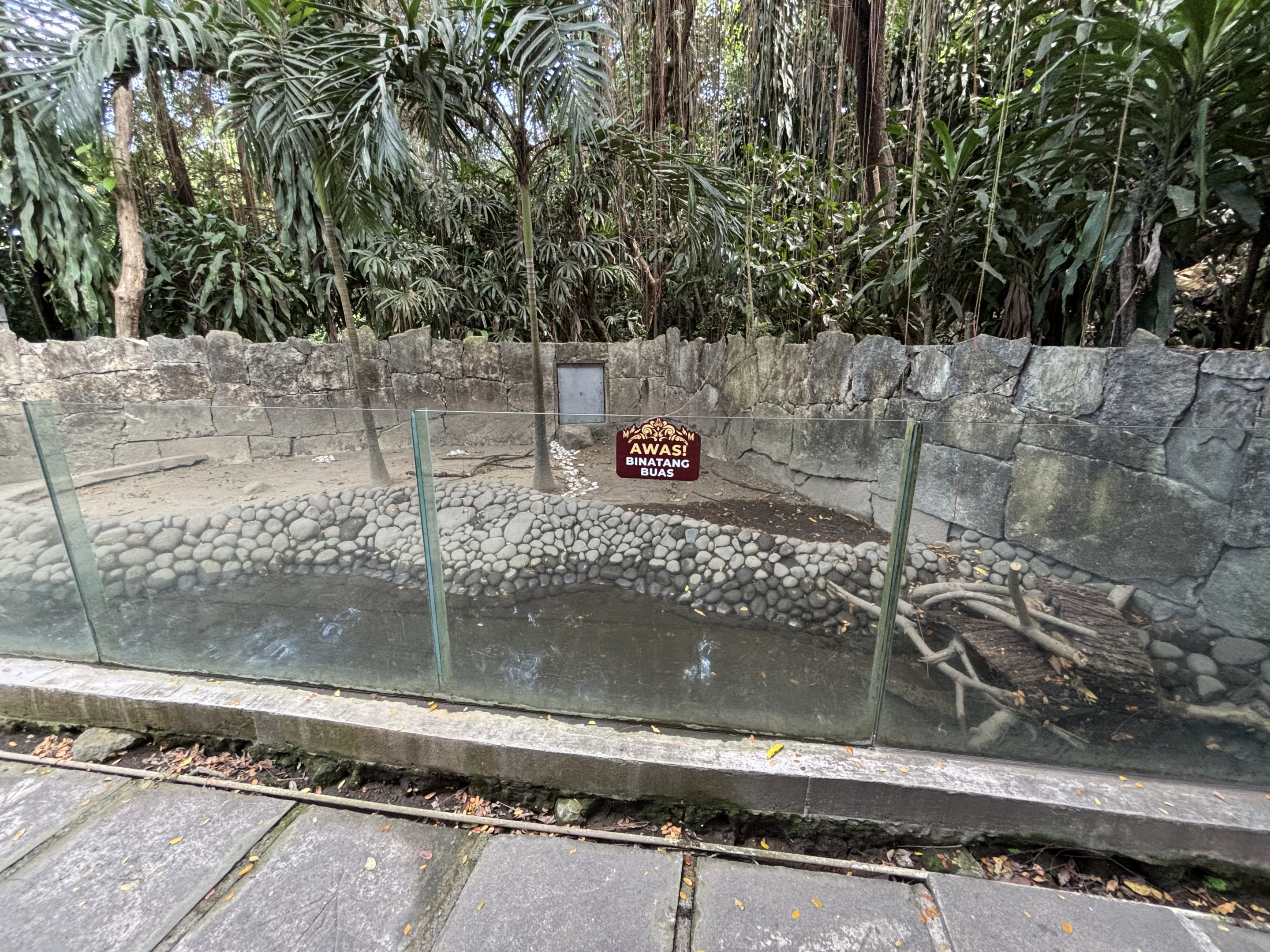 New Guinea Crocodile Exhibit