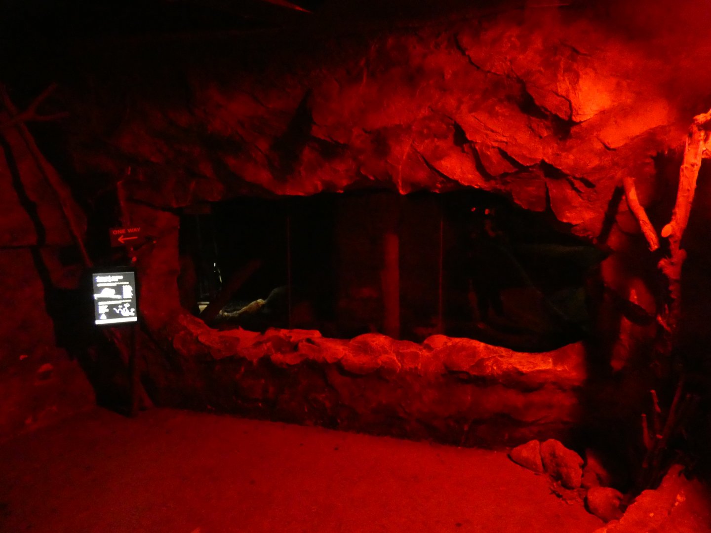 New Guinea ground cuscus enclosure (Twilight World Desert area)