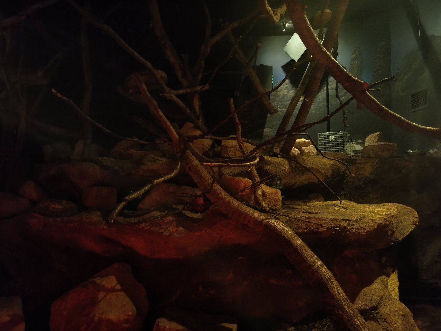 New Guinea ground cuscus enclosure (Twilight World)