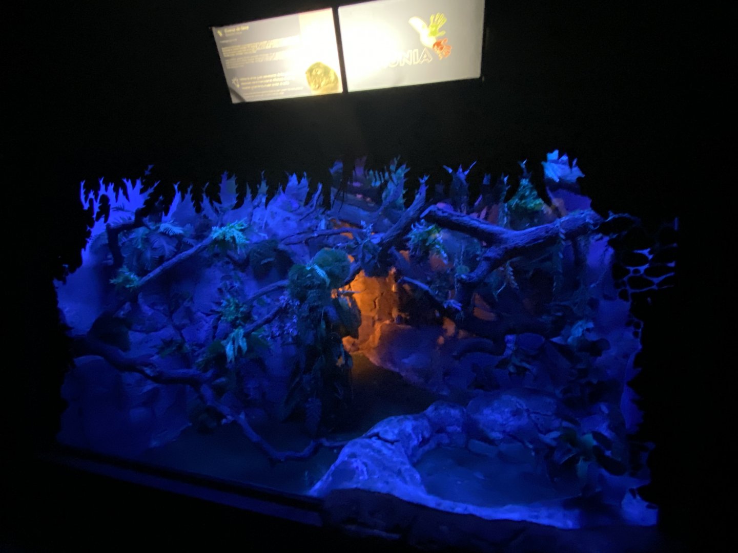 New Guinea ground cuscus enclosure