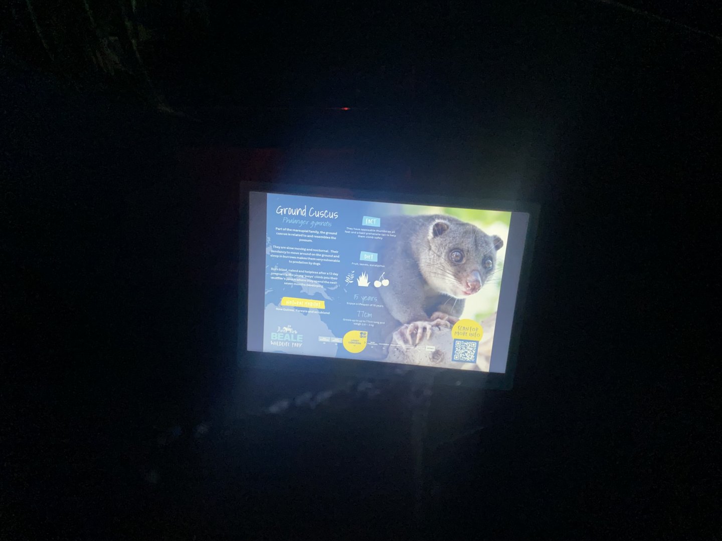 New Guinea ground cuscus signage 090525