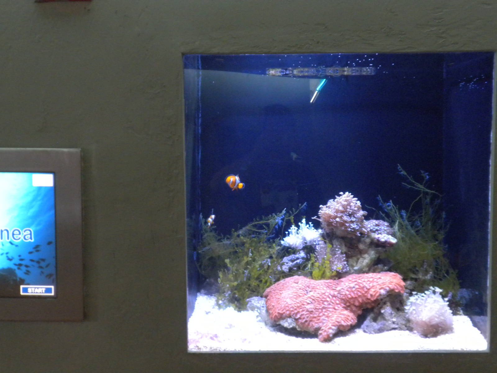 New Guinea microexhibit