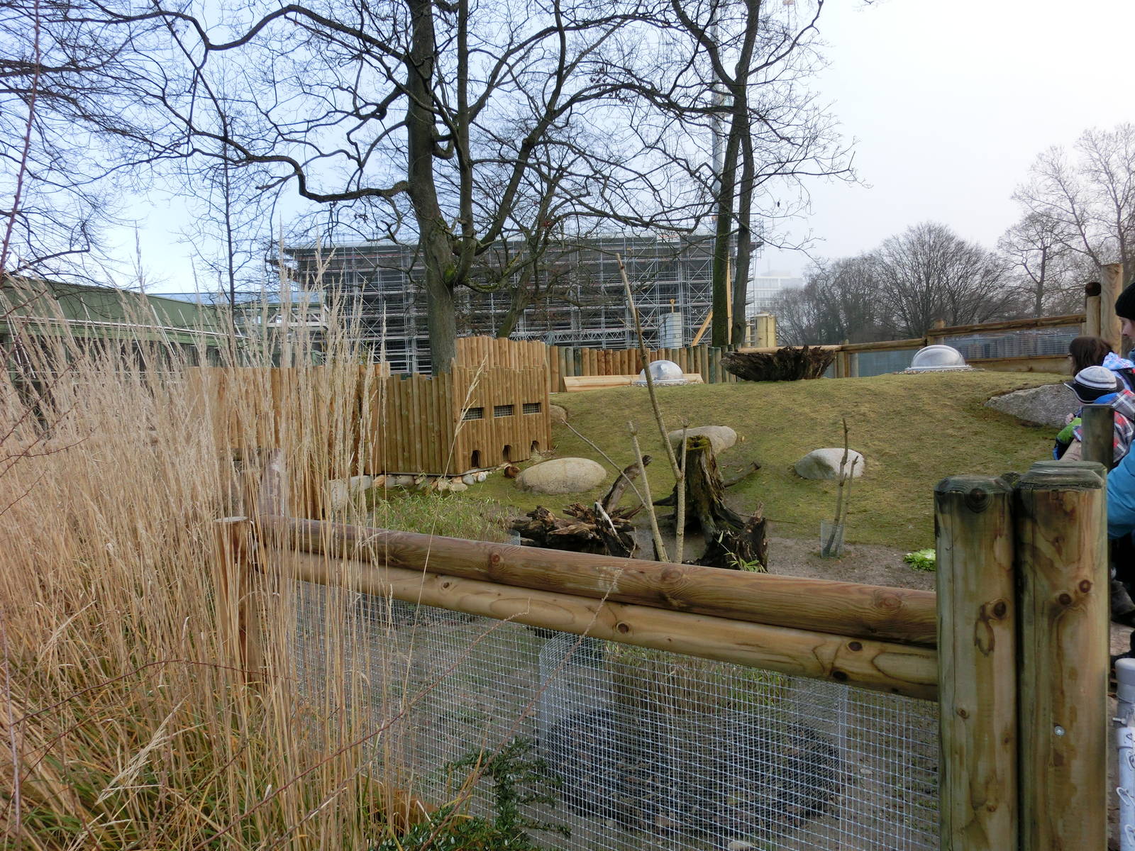 new guinea pig enclosure - Karlsruhe Zoo
