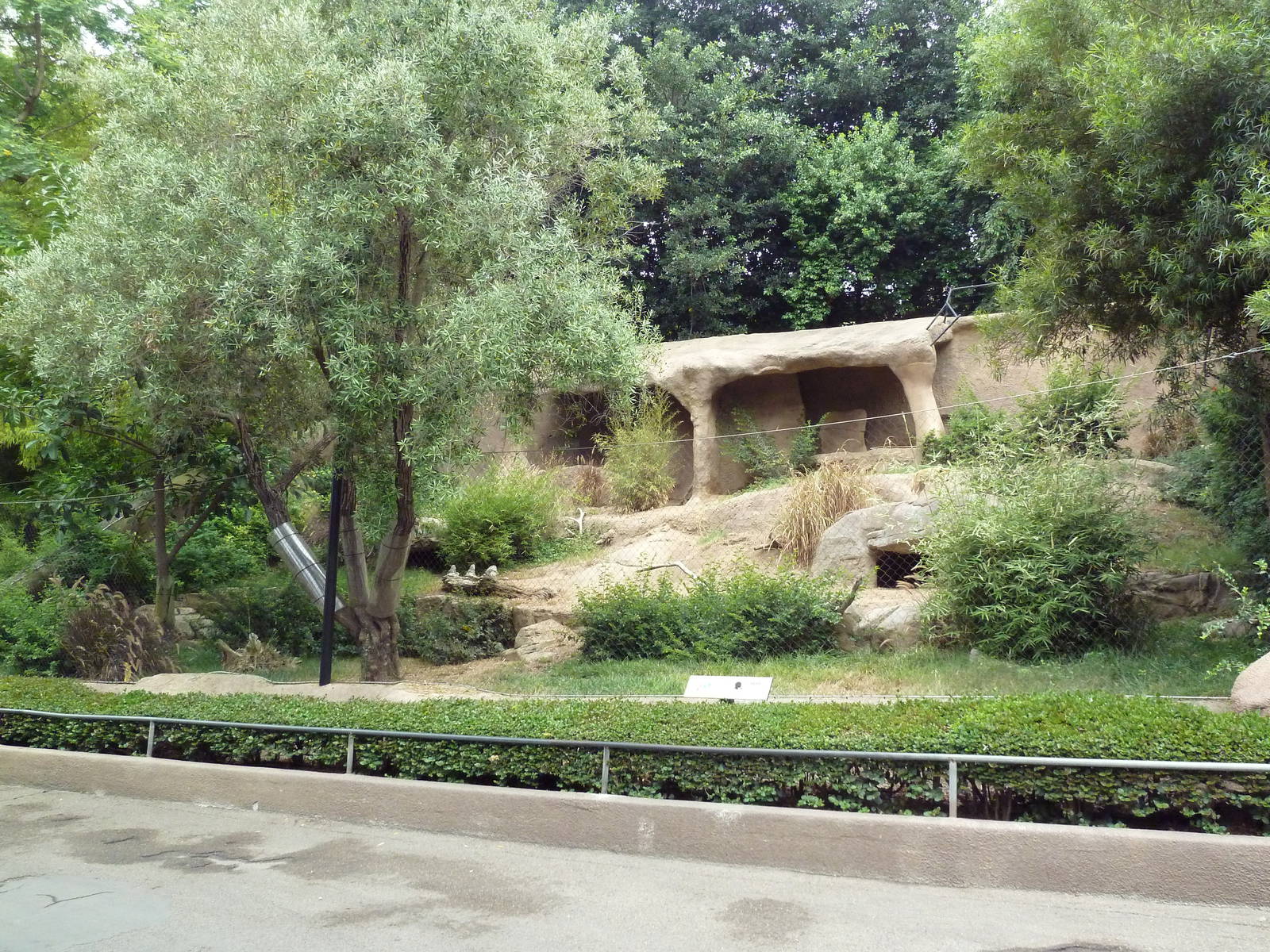 New Guinea Singing Dog Exhibit