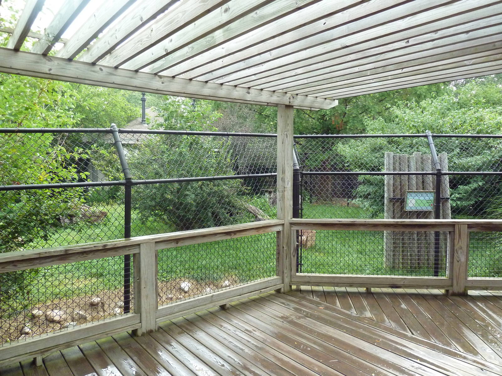 New Guinea Singing Dog Exhibit
