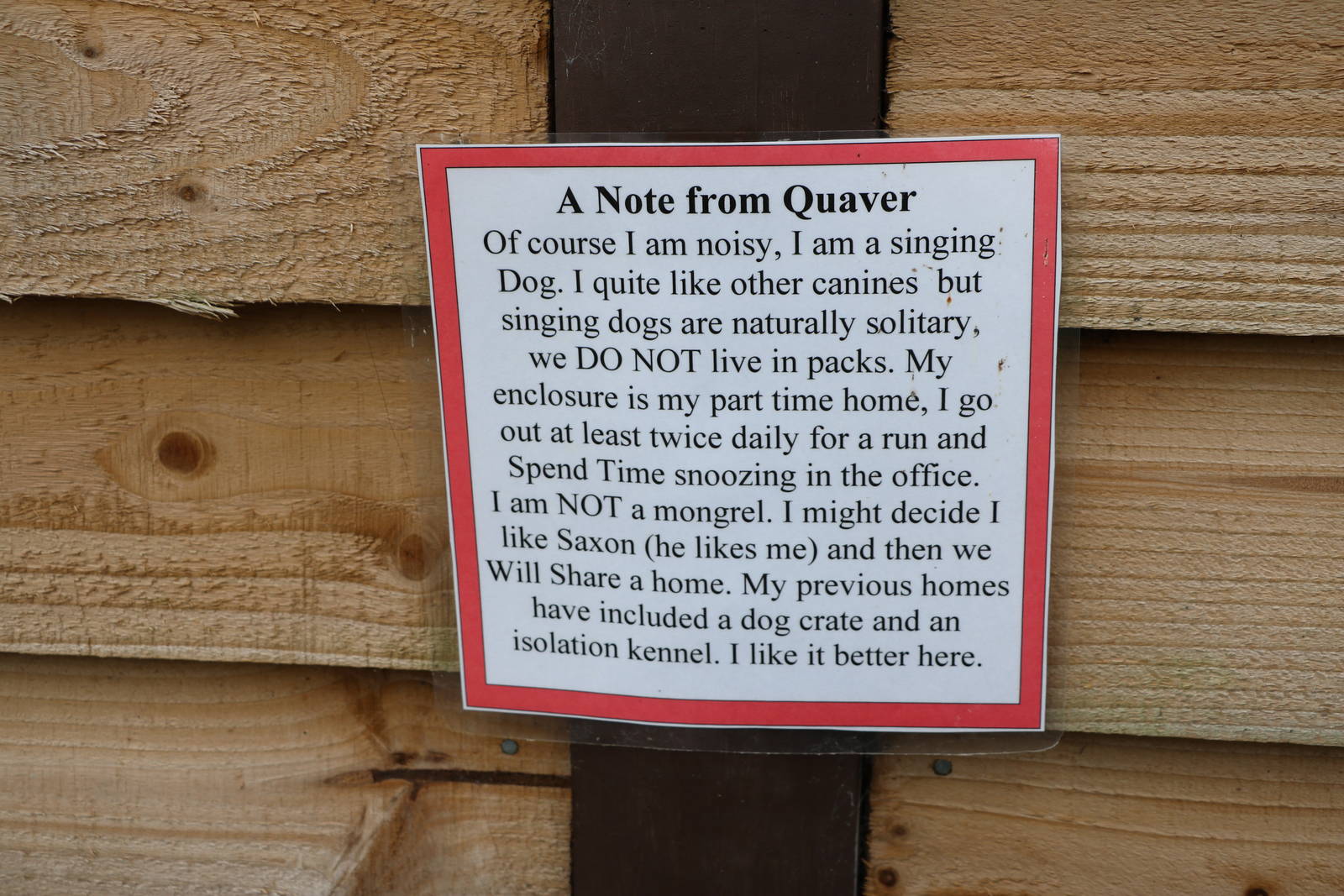 New Guinea Singing Dog notice, November 2015