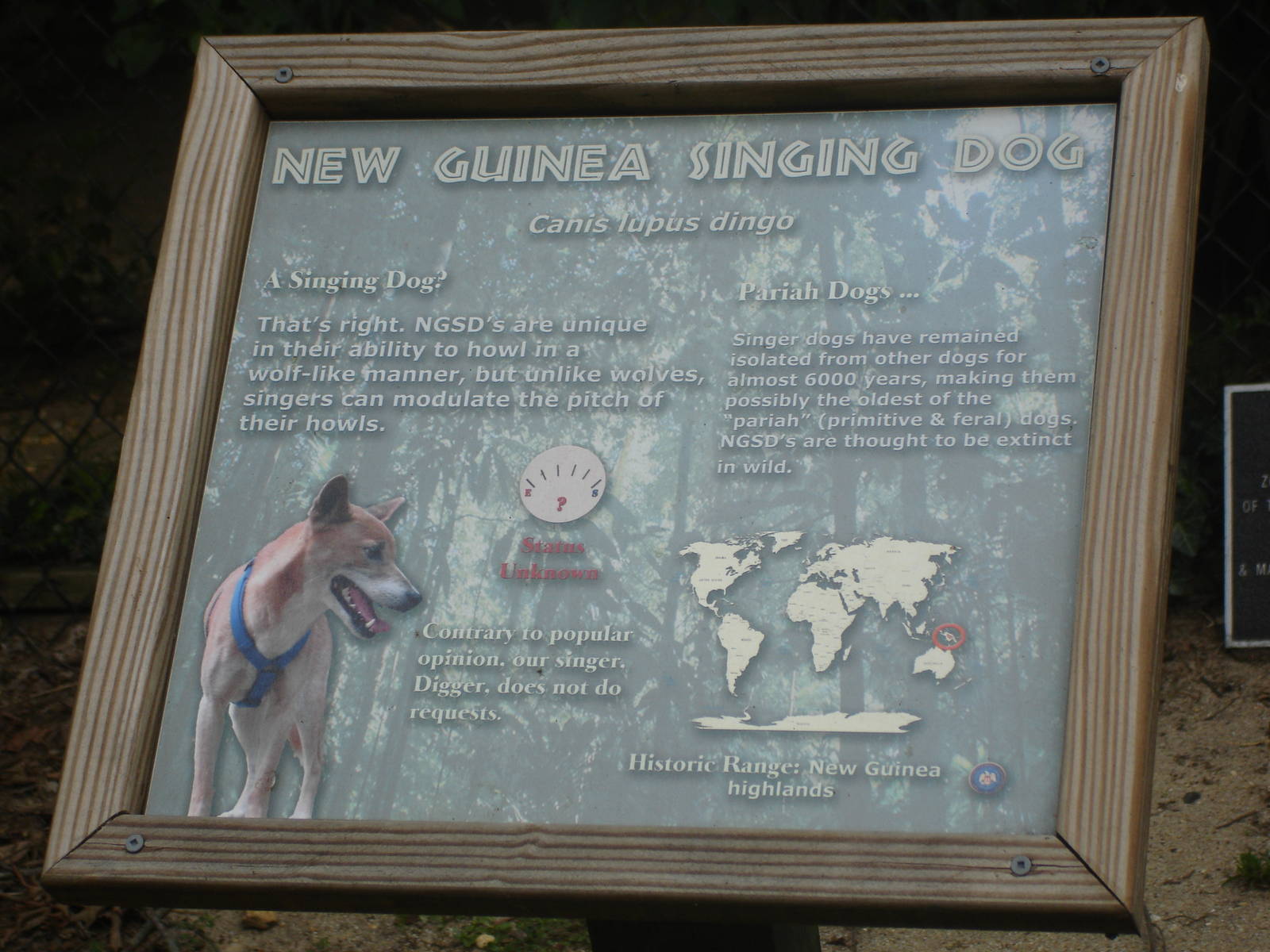New Guinea Singing Dog sign